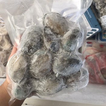 冷凍鮑魚